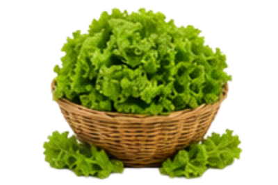 Saag